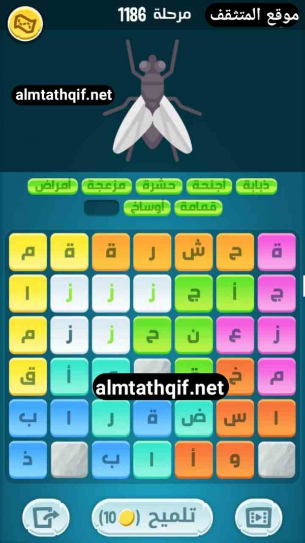 حل كلمات كراش مرحلة 1186