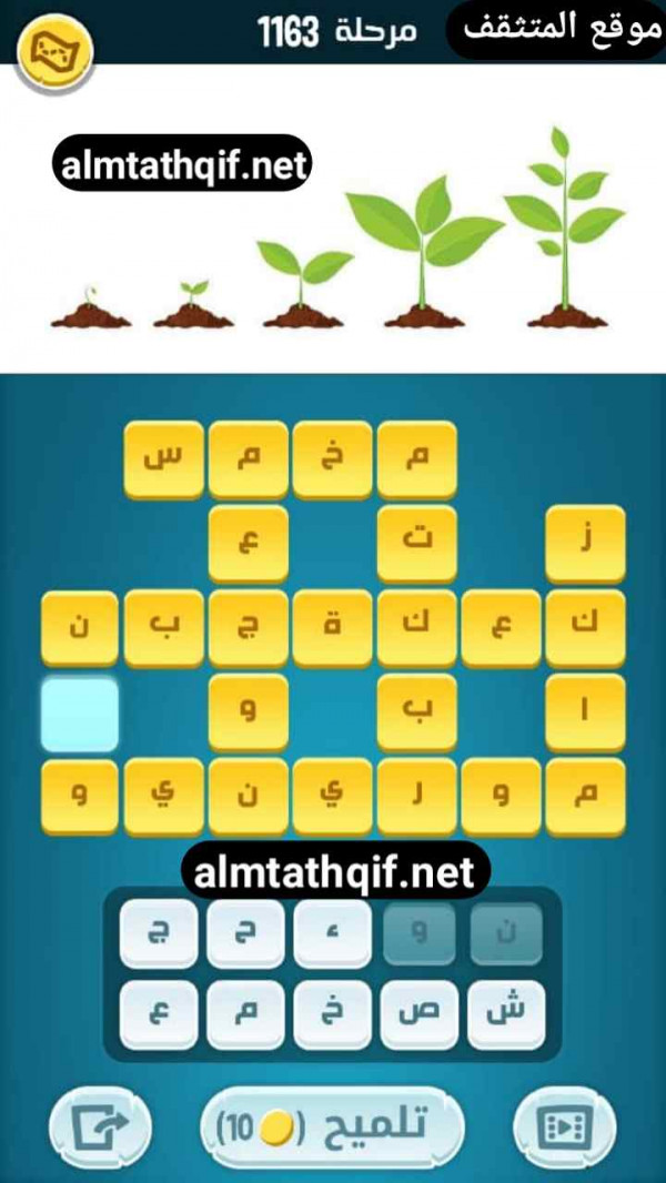 حل كلمات كراش مرحلة 1163
