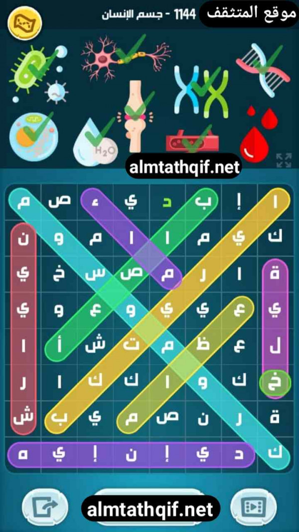 حل كلمات كراش مرحلة 1144